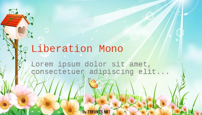 Liberation Mono example